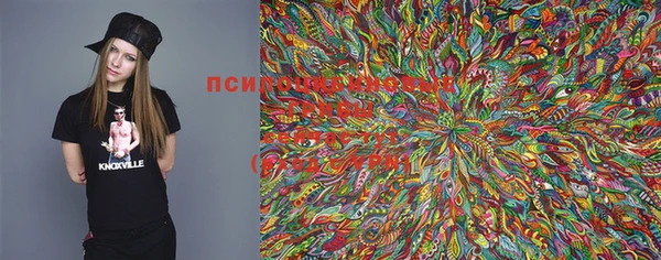 дмт Бугульма