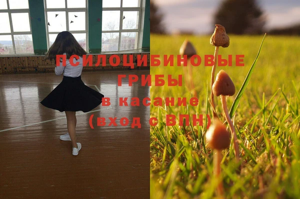дмт Бугульма